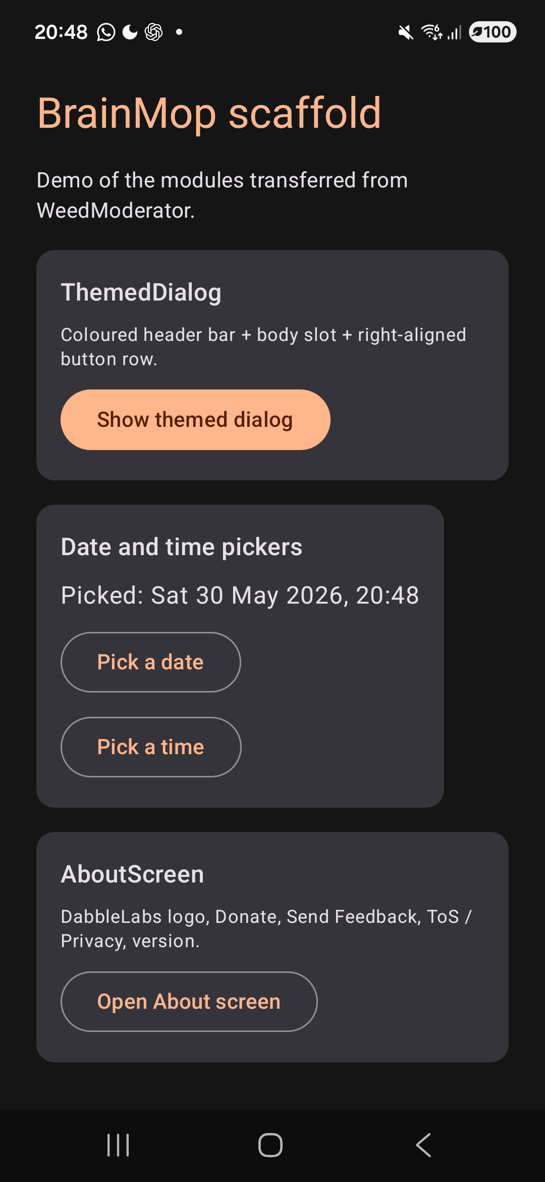 BrainMop screenshot